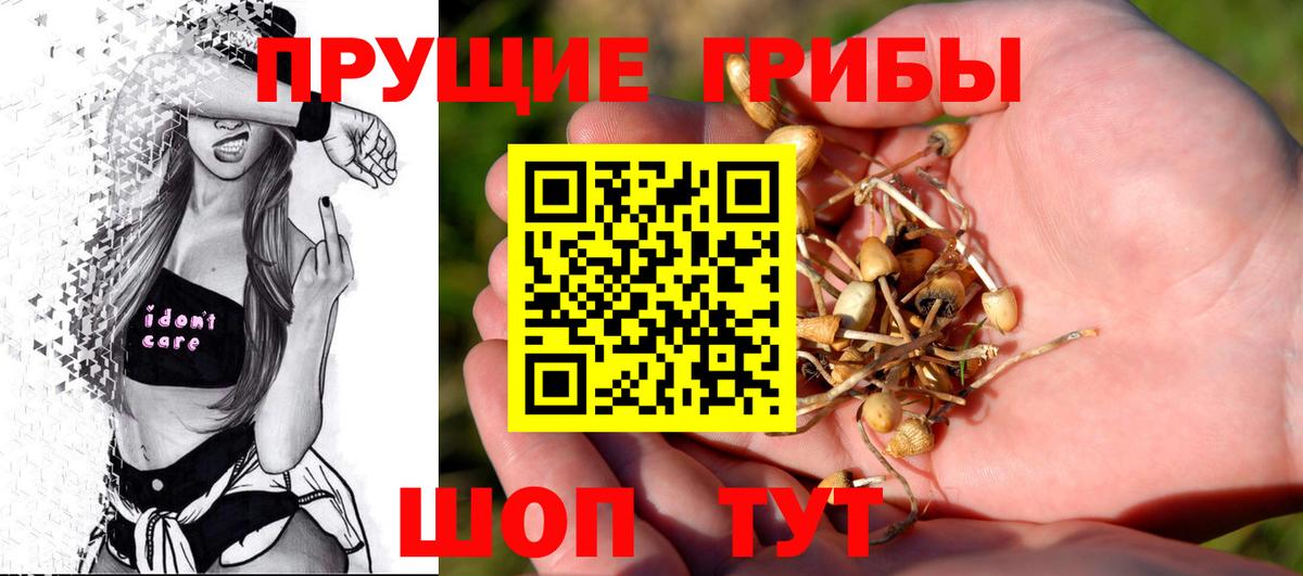 Псилоцибиновые грибы MAGIC MUSHROOMS Бутурлиновка